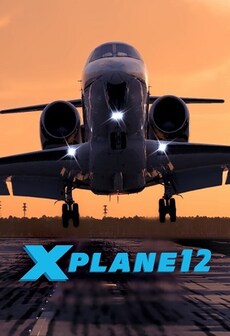 X-Plane 12 (PC) - Steam Gift - GLOBAL   - Laminar Research [Email/Instant Delivery]