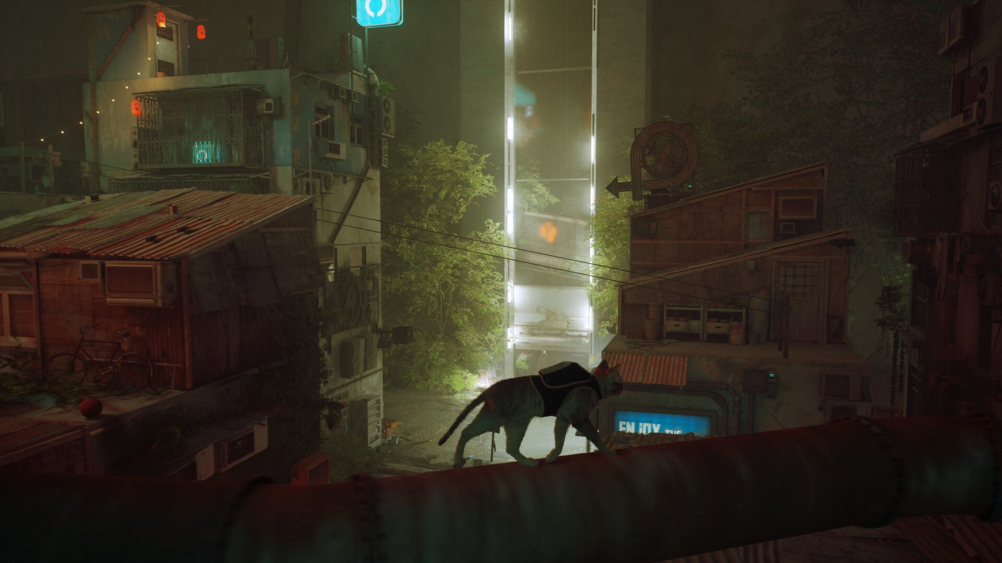 Stray (PC) - Steam Gift - GLOBAL   - Annapurna Interactive [Email/Instant Delivery]