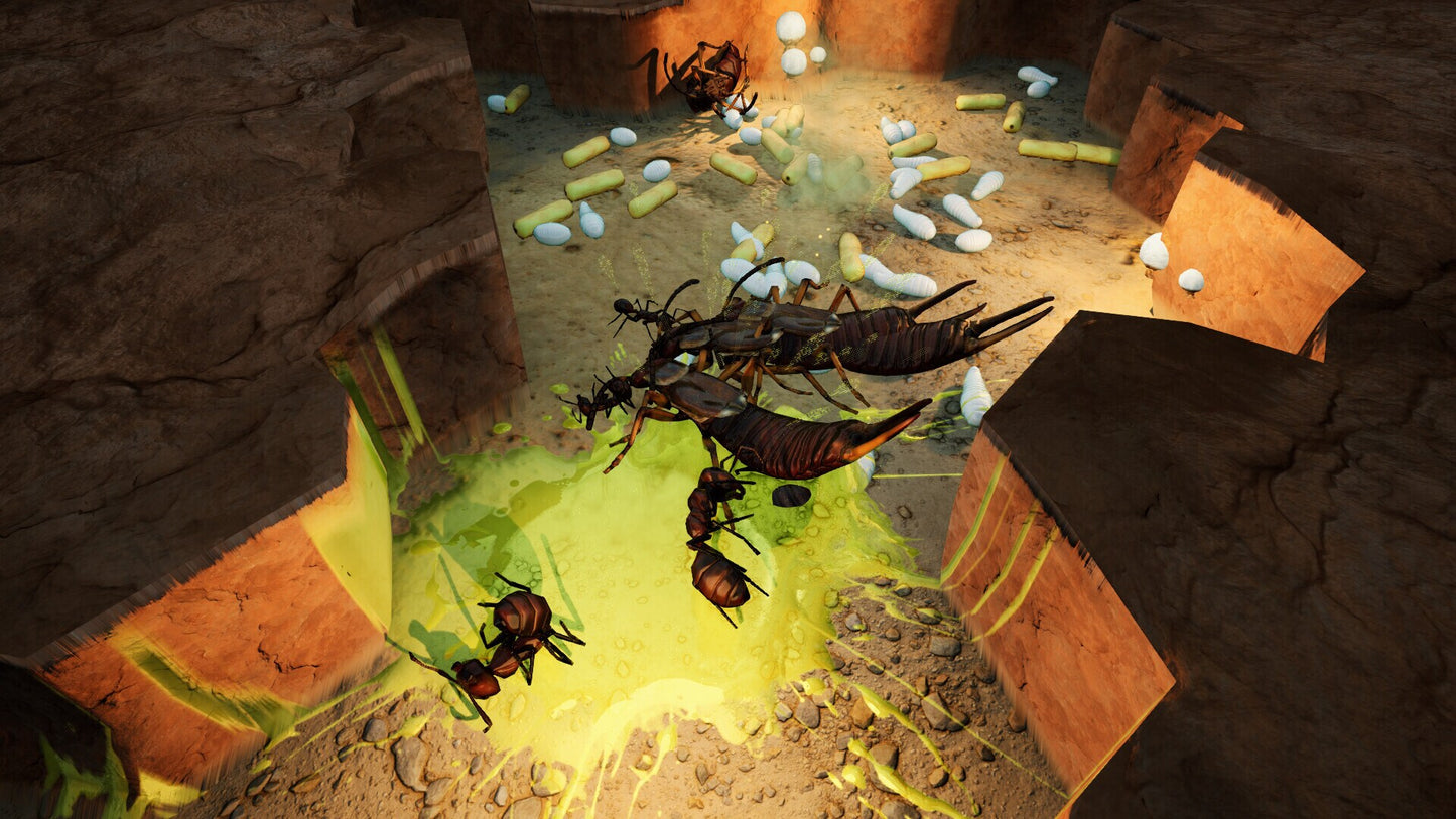 Empires of the Undergrowth - Exploding Ants (PC) - Steam Key - NORTH AMERICA   - Slug Disco [Email/Instant Delivery]