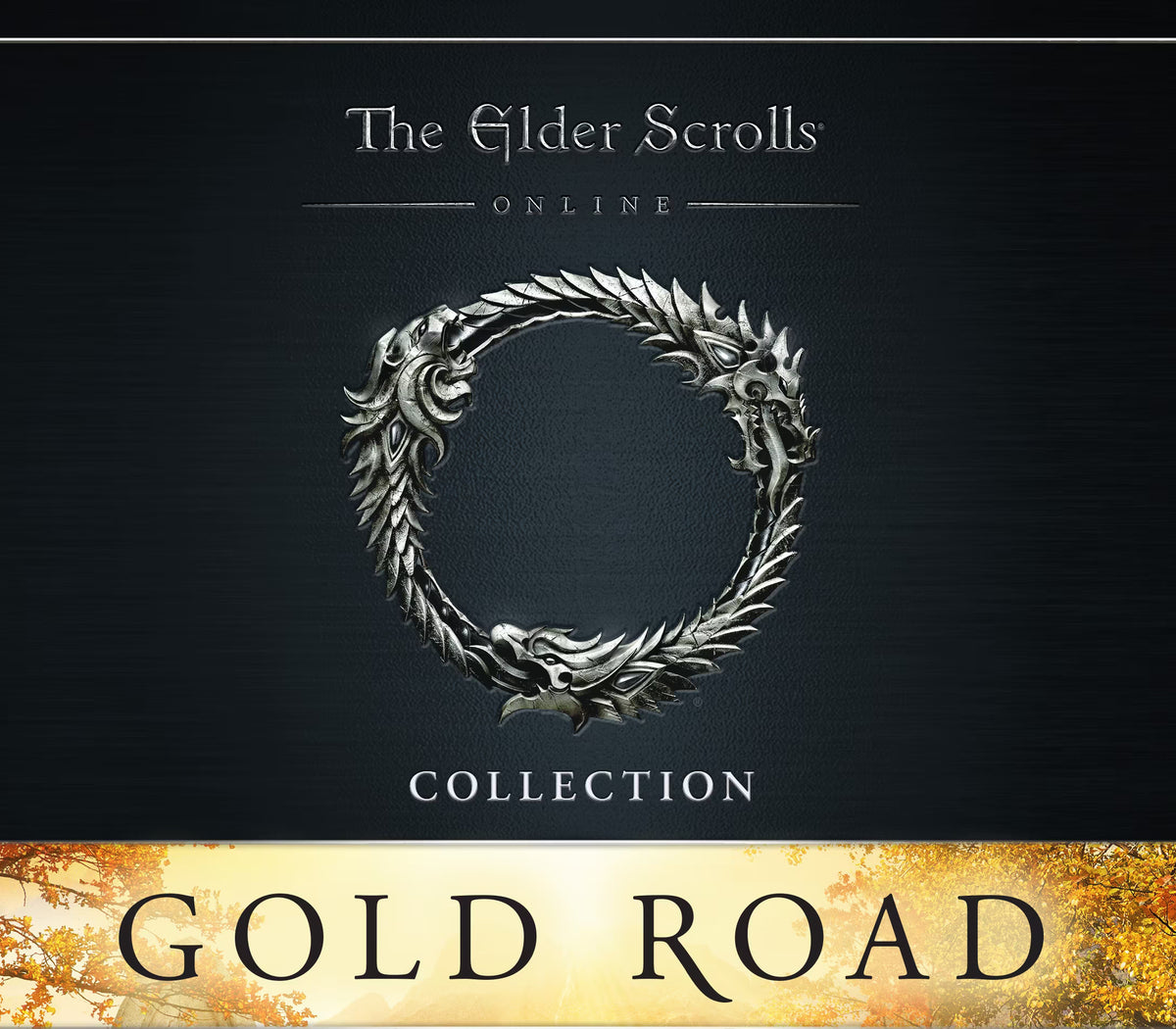 The Elder Scrolls Online Collection: Gold Road PS4 Account PlayStation 4 -  Argentina Bethesda Softworks - [Email/Instant Delivery]