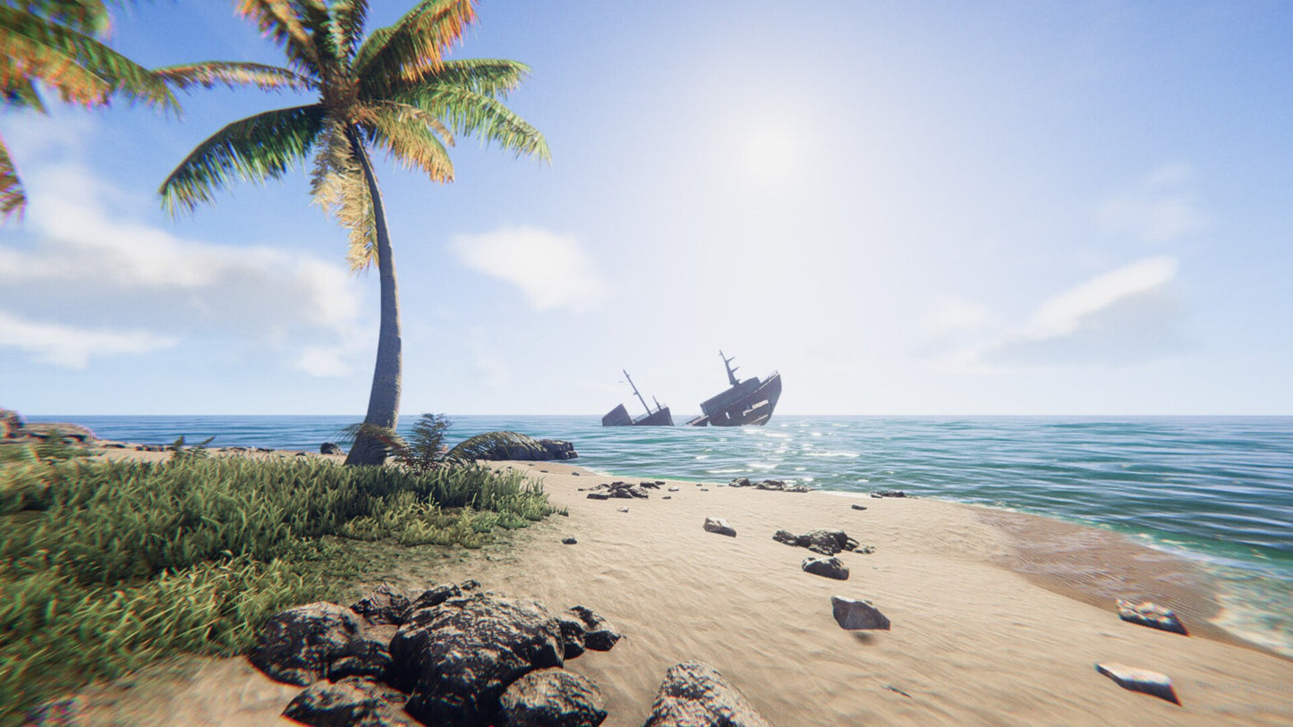Project Castaway (PC) - Steam Gift - GLOBAL   - Mardonpol Inc. [Email/Instant Delivery]