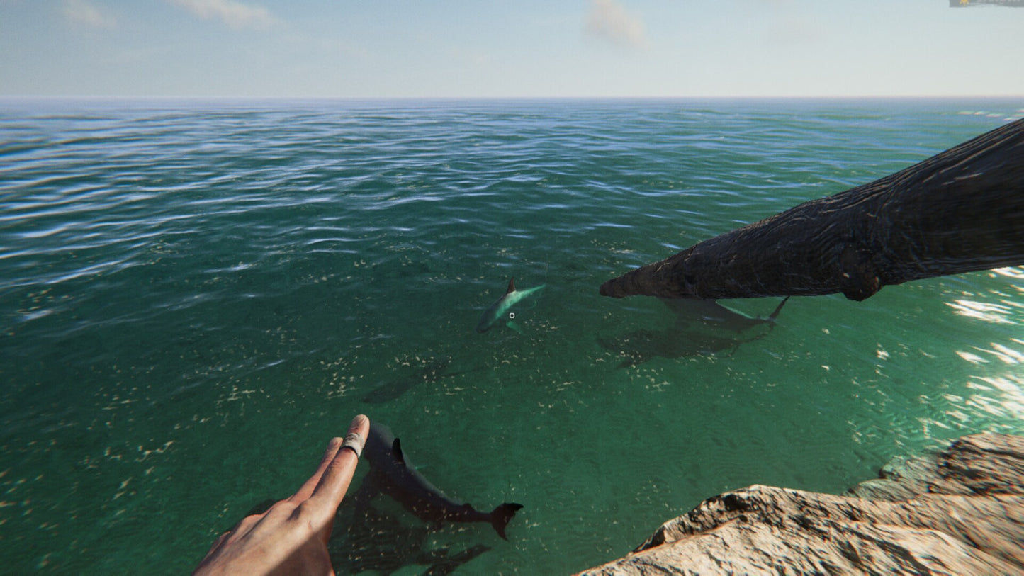 Project Castaway (PC) - Steam Gift - GLOBAL   - Mardonpol Inc. [Email/Instant Delivery]