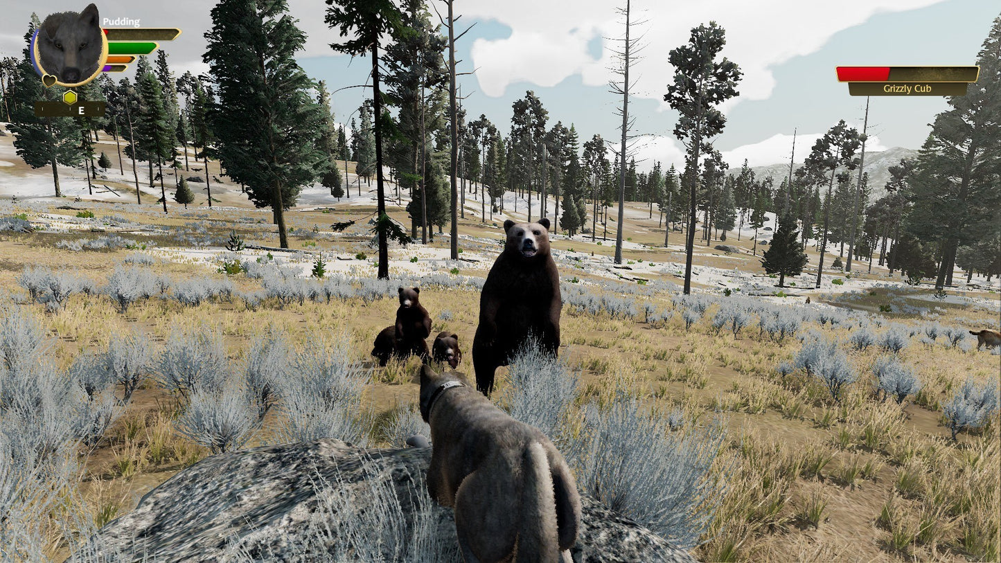 WolfQuest: Anniversary Edition (PC) - Steam Gift - NORTH AMERICA   - eduweb [Email/Instant Delivery]