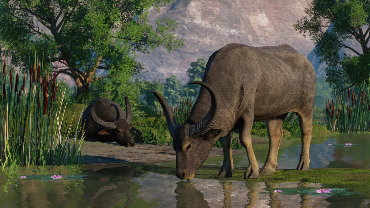 Planet Zoo: Wetlands Animal Pack (PC) - Steam Key - GLOBAL   - Frontier Developments [Email/Instant Delivery]