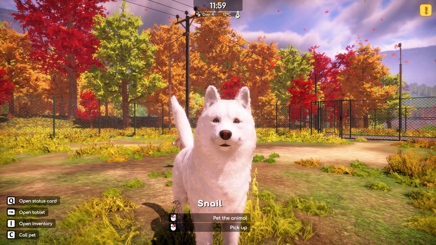 Animal Shelter 2 (PC) - Steam Gift - NORTH AMERICA   - PlayWay S.A. [Email/Instant Delivery]