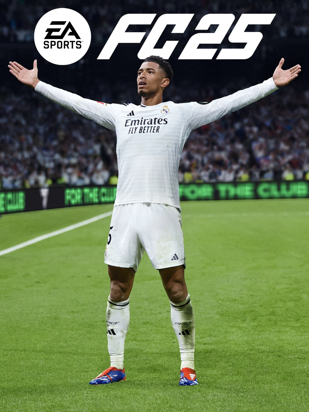 EA SPORTS FC 25 EU PC Steam CD Key  EUROPE Electronic Arts - [Email/Instant Delivery]