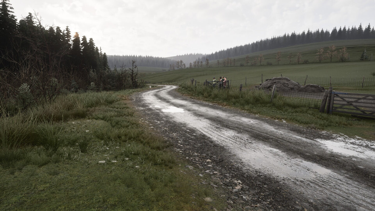 Assetto Corsa Rally (PC) - Steam Gift - GLOBAL  [Email/Instant Delivery]