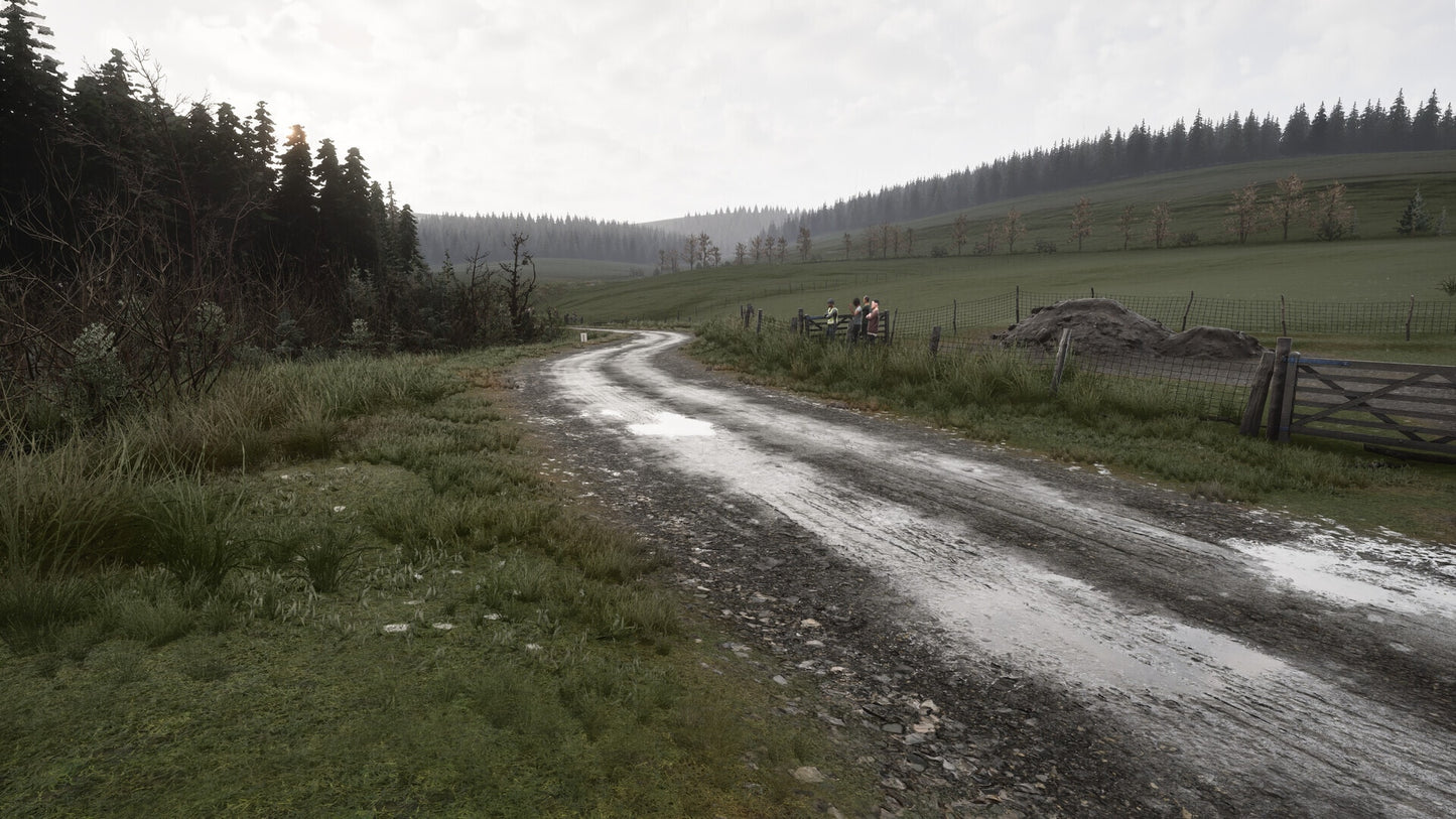 Assetto Corsa Rally (PC) - Steam Key - NORTH AMERICA  [Email/Instant Delivery]