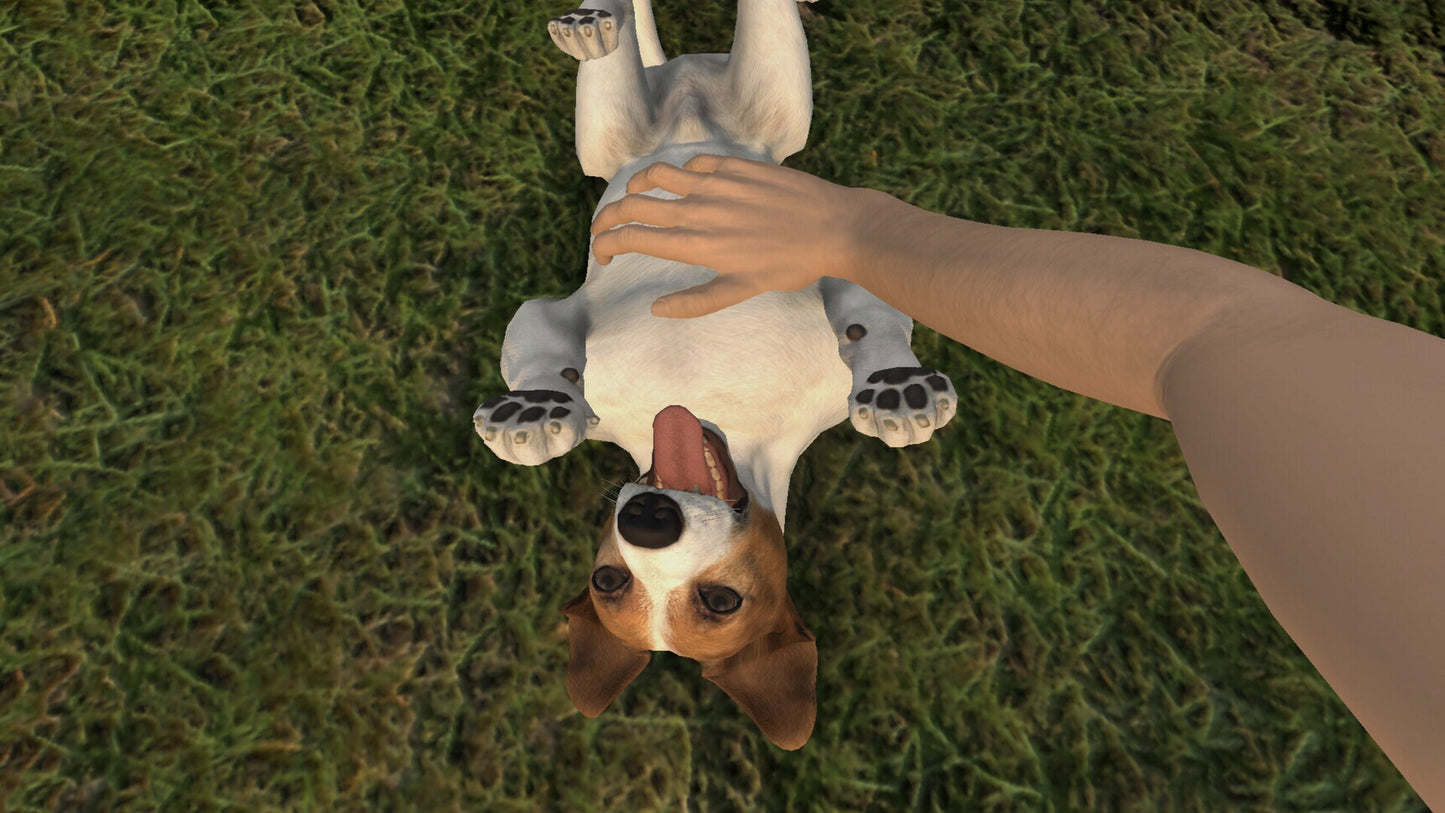 Pets Hotel (PC) - Steam Key - GLOBAL   - Games Incubator [Email/Instant Delivery]