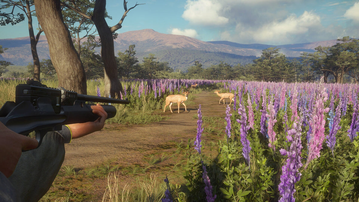 theHunter: Call of the Wild™ - Weapon Pack 3 (PC) - Steam Key - GLOBAL   - Expansive Worlds [Email/Instant Delivery]