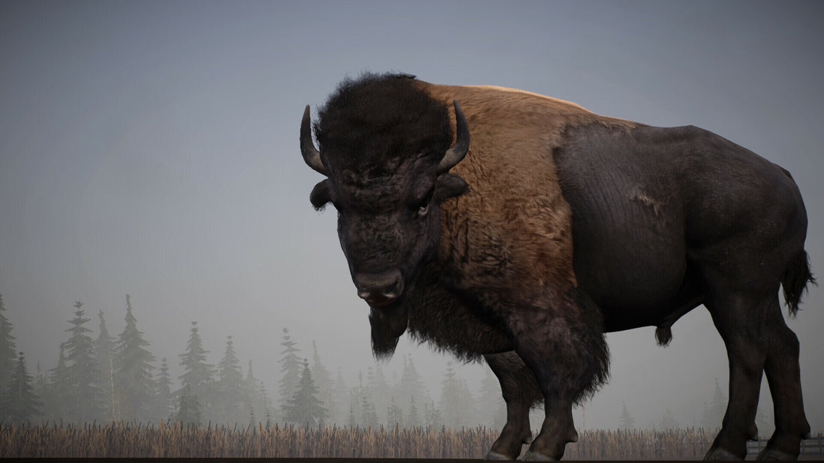 Alaskan Road Truckers (PC) - Steam Key - UNITED STATES   - Movie Games S.A. [Email/Instant Delivery]