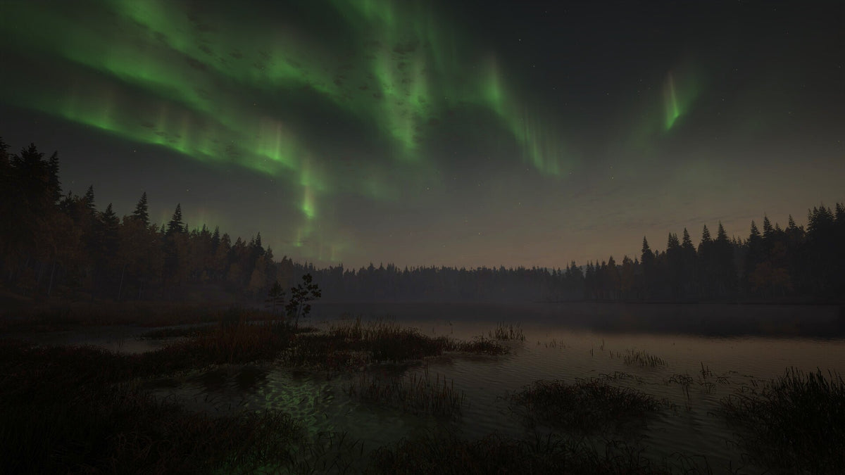 theHunter: Call of the Wild - Revontuli Coast (PC) - Steam Key - GLOBAL   - Expansive Worlds [Email/Instant Delivery]