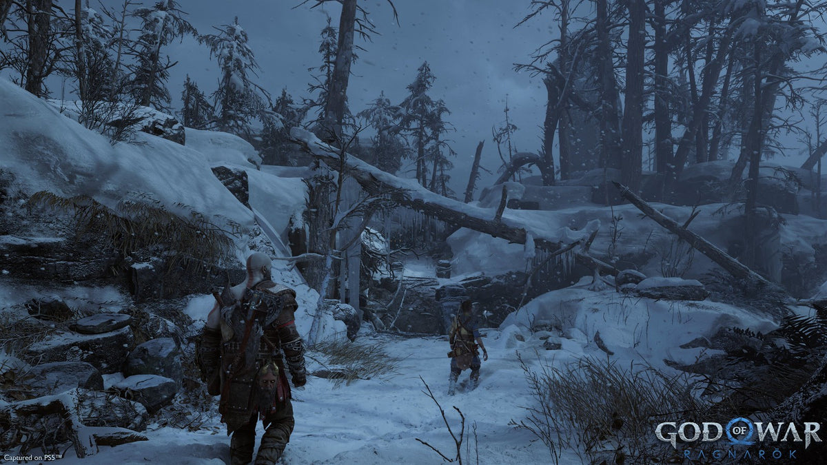God Of War Ragnarök RoW PC Steam CD Key  OTHER PlayStation PC LLC - [Email/Instant Delivery]