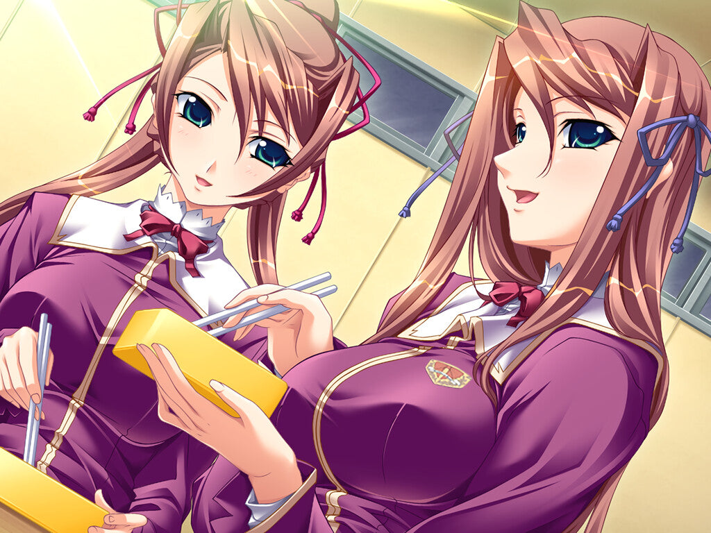 Holy Maid Academy PC Steam CD Key  REGION FREE Shiravune - [Email/Instant Delivery]
