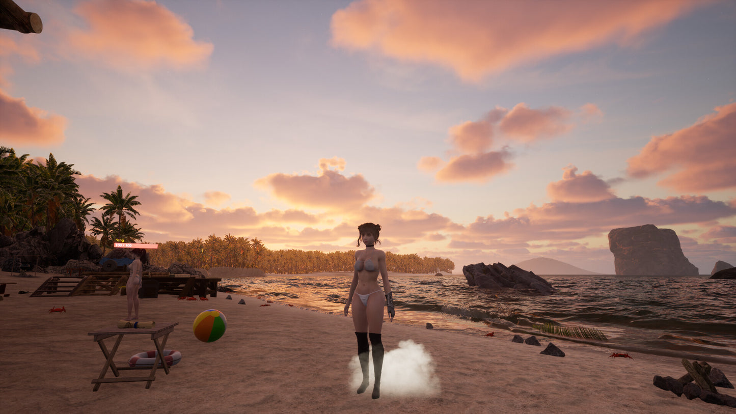 Lethal Beach PC Steam CD Key  REGION FREE IsSasaLa - [Email/Instant Delivery]