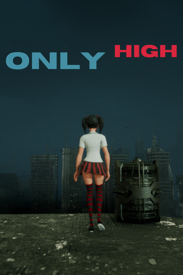 Only High PC Steam CD Key  REGION FREE DDemon LLC - [Email/Instant Delivery]