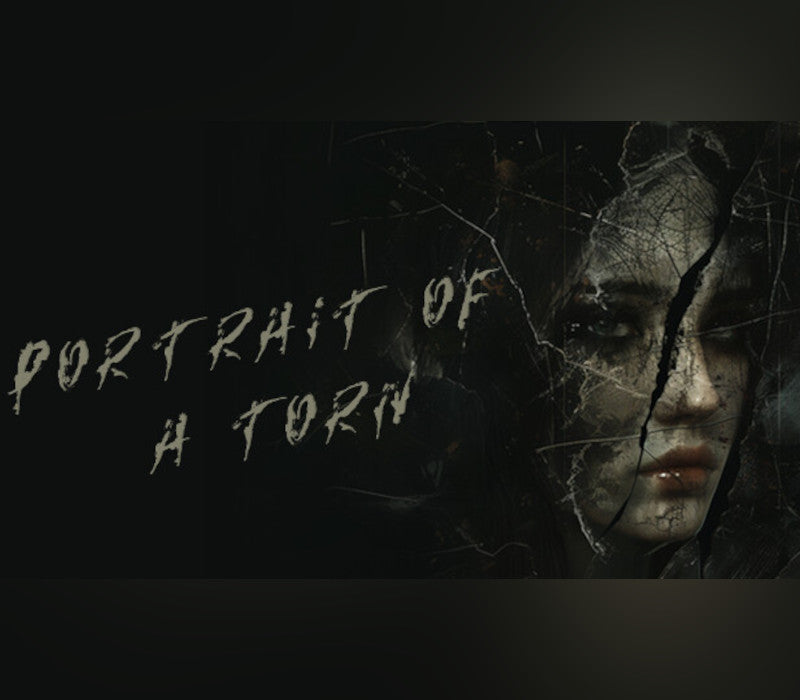 Portrait of a Torn PC Steam CD Key  REGION FREE  [Email/Instant Delivery]