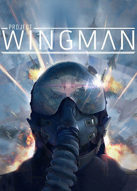 Project Wingman ( PC ) - Steam - Global   - Steam [Email/Instant Delivery]