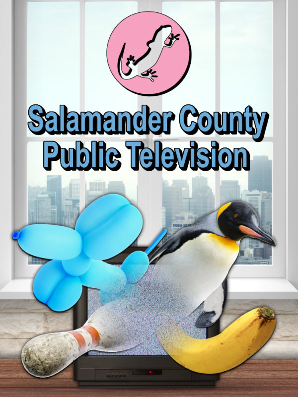 Salamander County Public Television XBOX One / Xbox Series X|S CD Key Xbox One -  OTHER Penguin Pop Games - [Email/Instant Delivery]