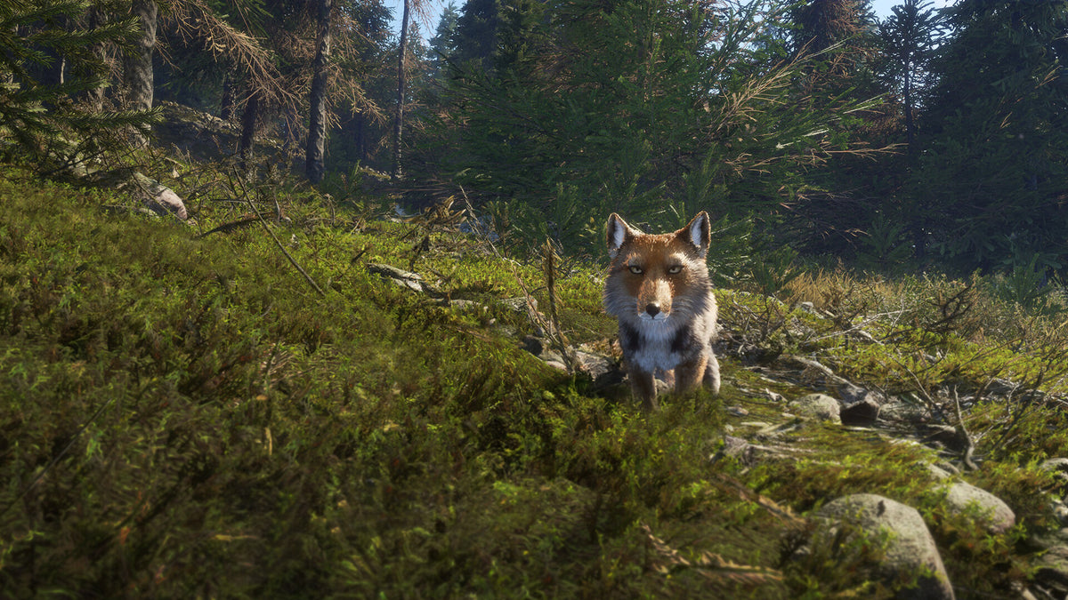 theHunter: Call of the Wild - Sundarpatan Nepal Hunting Reserve DLC PC Steam CD Key  REGION FREE  [Email/Instant Delivery]