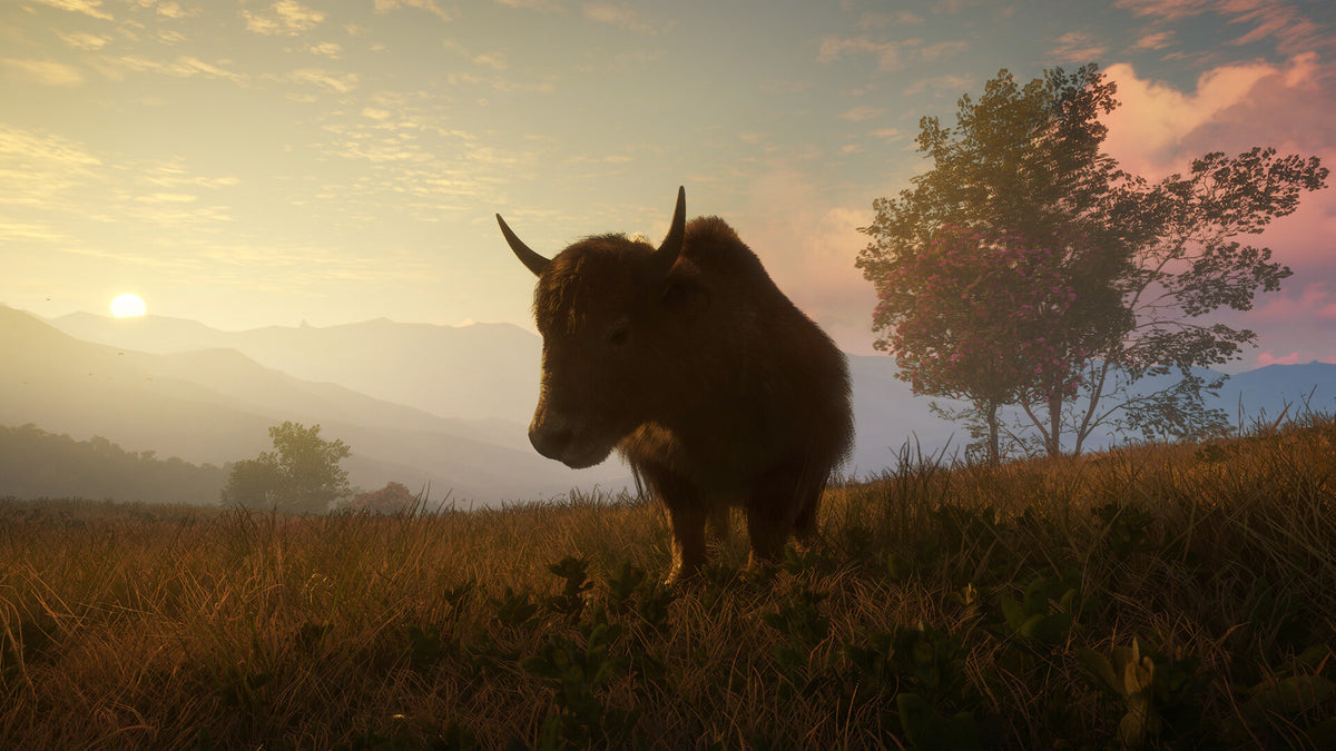 theHunter: Call of the Wild - Sundarpatan Nepal Hunting Reserve DLC PC Steam CD Key  REGION FREE  [Email/Instant Delivery]