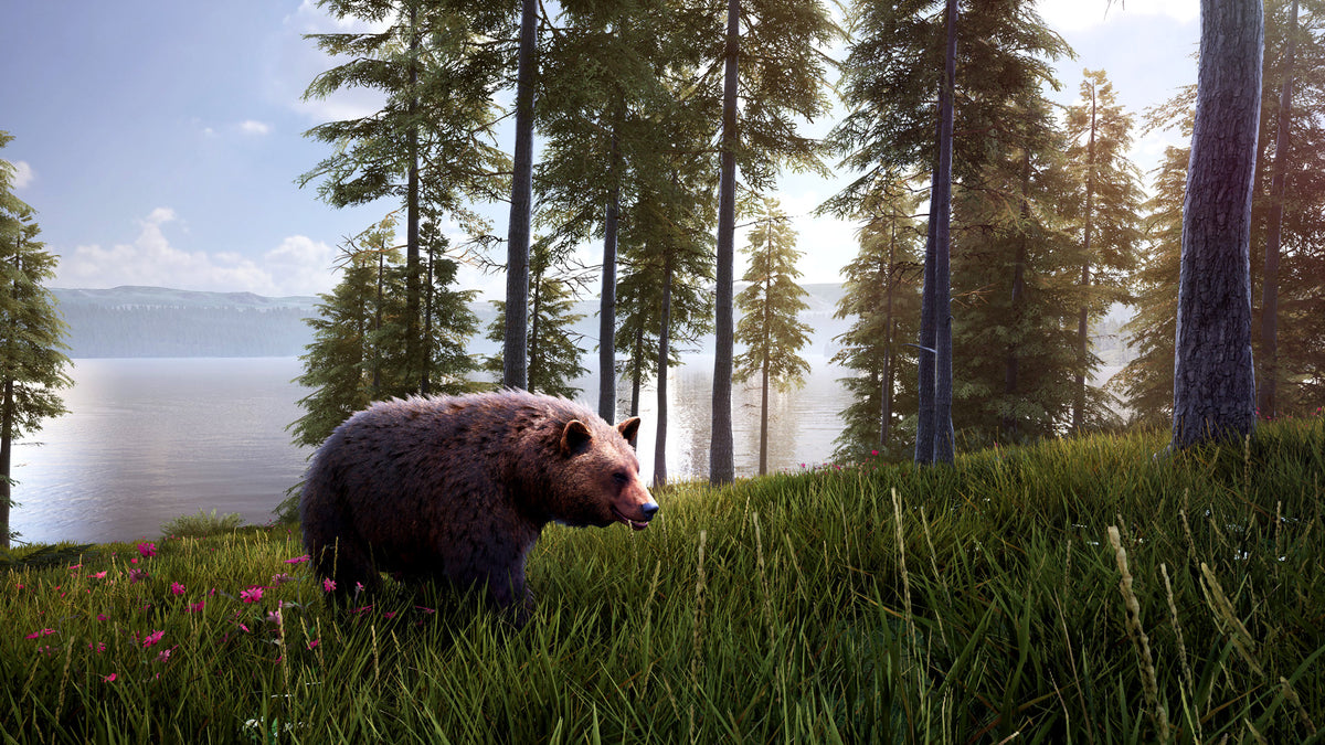 Hunting Simulator 2 Elite Edition EU Xbox Series X|S CD Key  EUROPE Nacon - [Email/Instant Delivery]