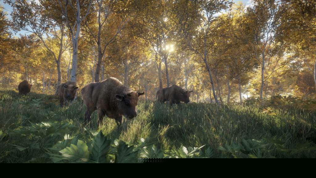 theHunter: Call of the Wild Ultimate Hunting Bundle PC Steam CD Key  REGION FREE Expansive Worlds - [Email/Instant Delivery]