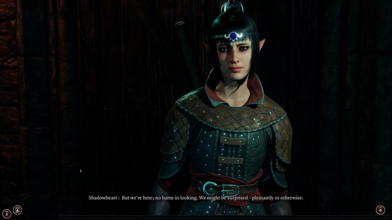Baldur's Gate 3 EU Steam Altergift  OTHER Larian Studios - [Email/Instant Delivery]