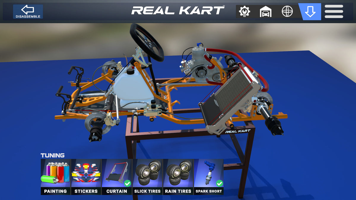 Real Kart PC Steam Account  REGION FREE Aglobex - [Email/Instant Delivery]