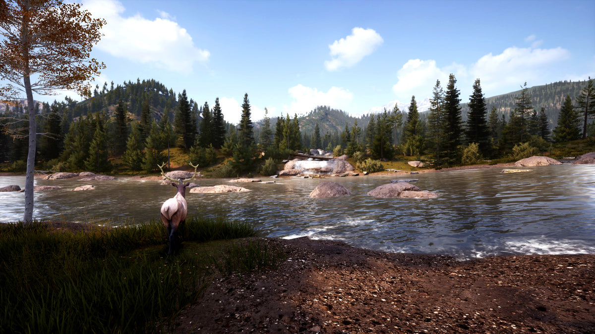 Hunting Simulator 2 Elite Edition EU Xbox Series X|S CD Key  EUROPE Nacon - [Email/Instant Delivery]