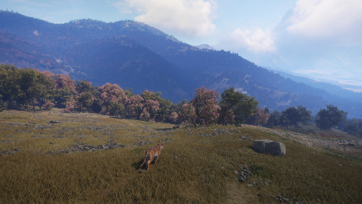theHunter: Call of the Wild - Sundarpatan Nepal Hunting Reserve DLC PC Steam CD Key  REGION FREE  [Email/Instant Delivery]