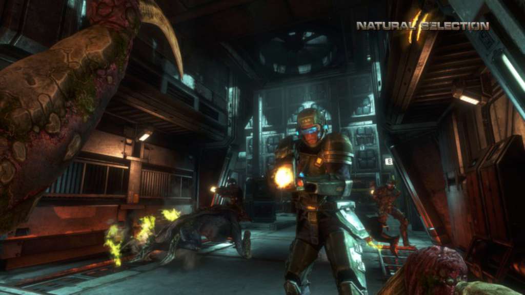 Natural Selection 2 PC Steam CD Key   REGION FREE Unknown Worlds Entertainment - [Email/Instant Delivery]