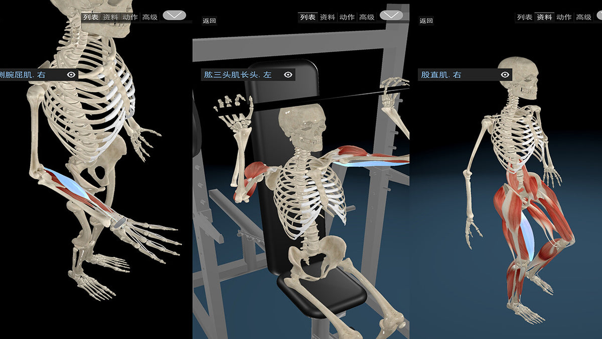 Kinetic Anatomy 3D PC Steam CD Key  REGION FREE LinxTech - [Email/Instant Delivery]