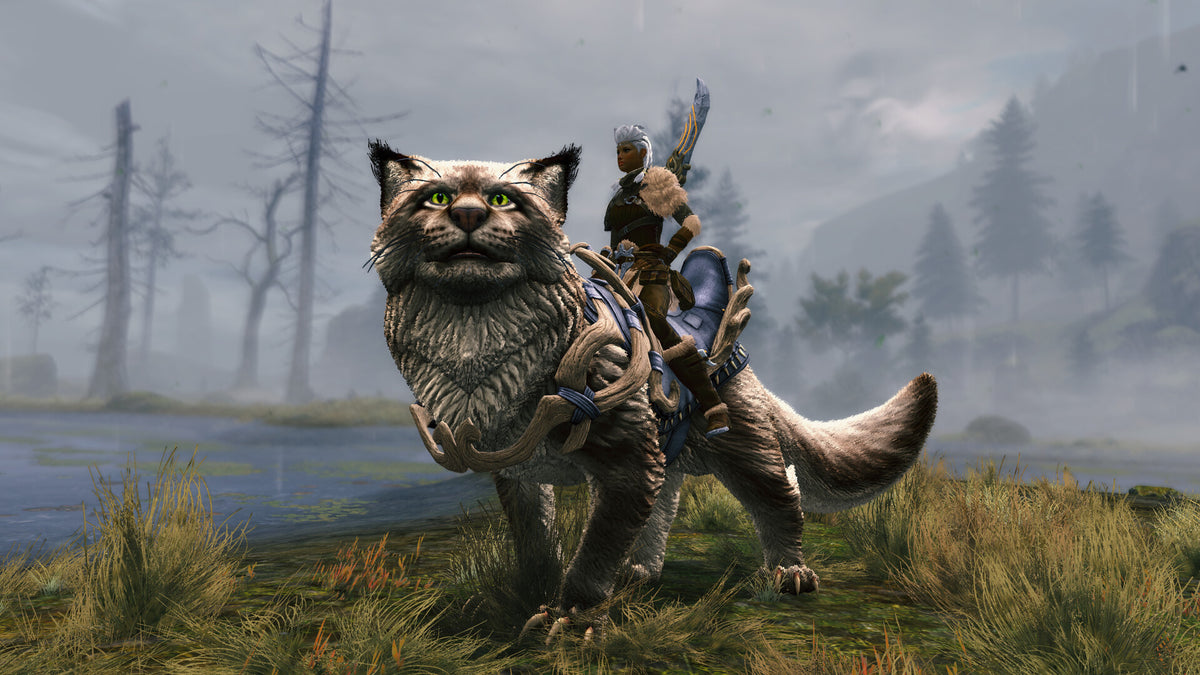 Guild Wars 2: Janthir Wilds DLC Digital Download CD Key Other -   EUROPE - all countries ArenaNet® - [Email/Instant Delivery]