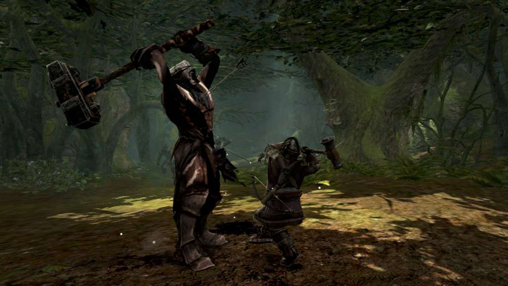 Lord of the Rings: War in the North PC Steam CD Key  REGION FREE WB Games - [Email/Instant Delivery]