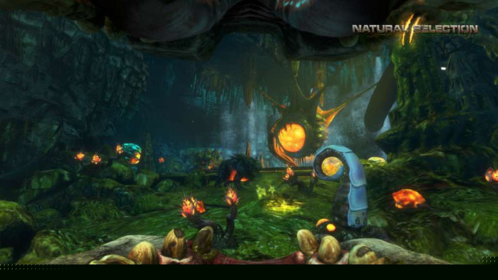 Natural Selection 2 PC Steam CD Key   REGION FREE Unknown Worlds Entertainment - [Email/Instant Delivery]