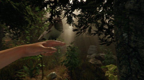 The Forest PC Steam CD Key  REGION FREE Endnight Games Ltd - [Email/Instant Delivery]