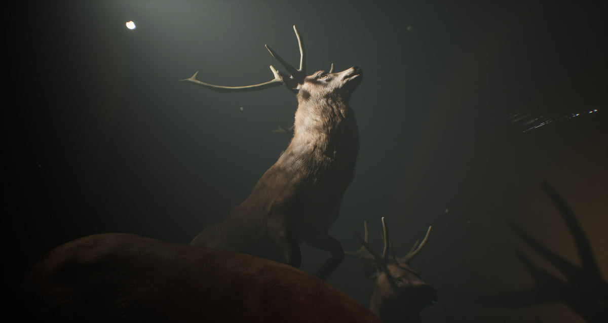Project 13: Taxidermy Trails PC Steam CD Key  REGION FREE DRYBREAD - [Email/Instant Delivery]