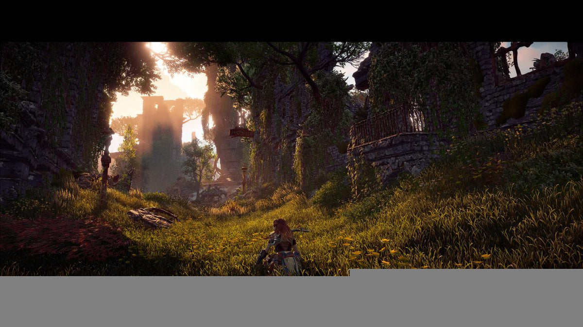 Horizon Zero Dawn Remastered Bundle PC Steam Account  OTHER PlayStation Publishing LLC - [Email/Instant Delivery]