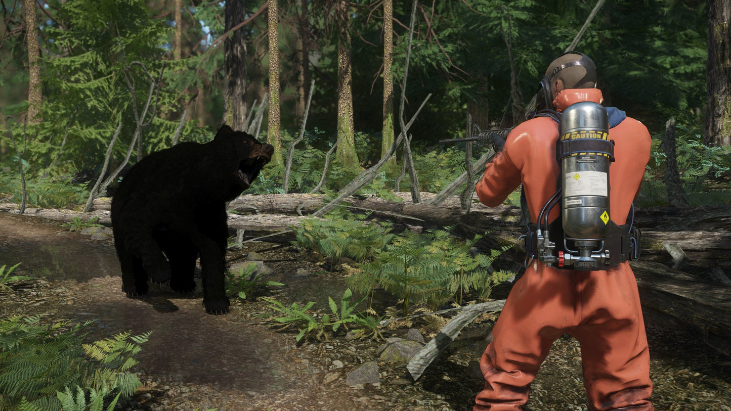 Miscreated Steam CD Key  REGION FREE Entrada Interactive LLC - [Email/Instant Delivery]