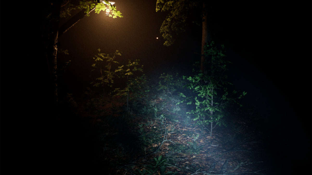 Exanimum: The Silent Call Steam CD Key  REGION FREE Perspektik - [Email/Instant Delivery]