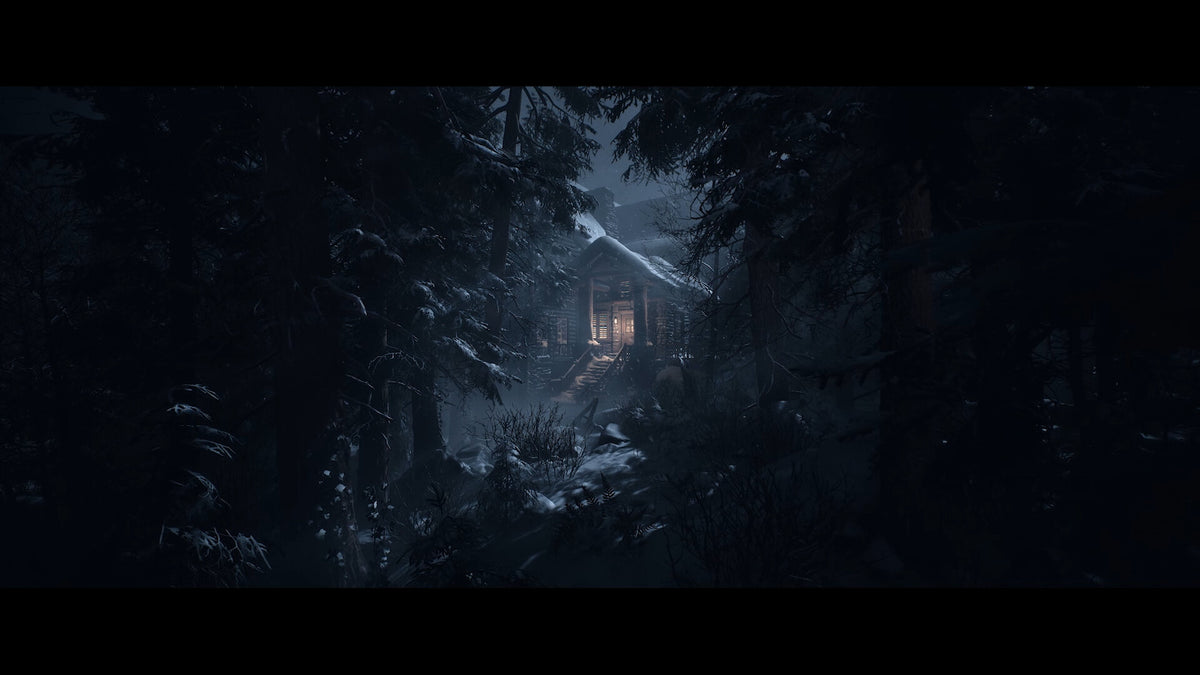 Until Dawn PC Steam Altergift  OTHER PlayStation Publishing LLC - [Email/Instant Delivery]