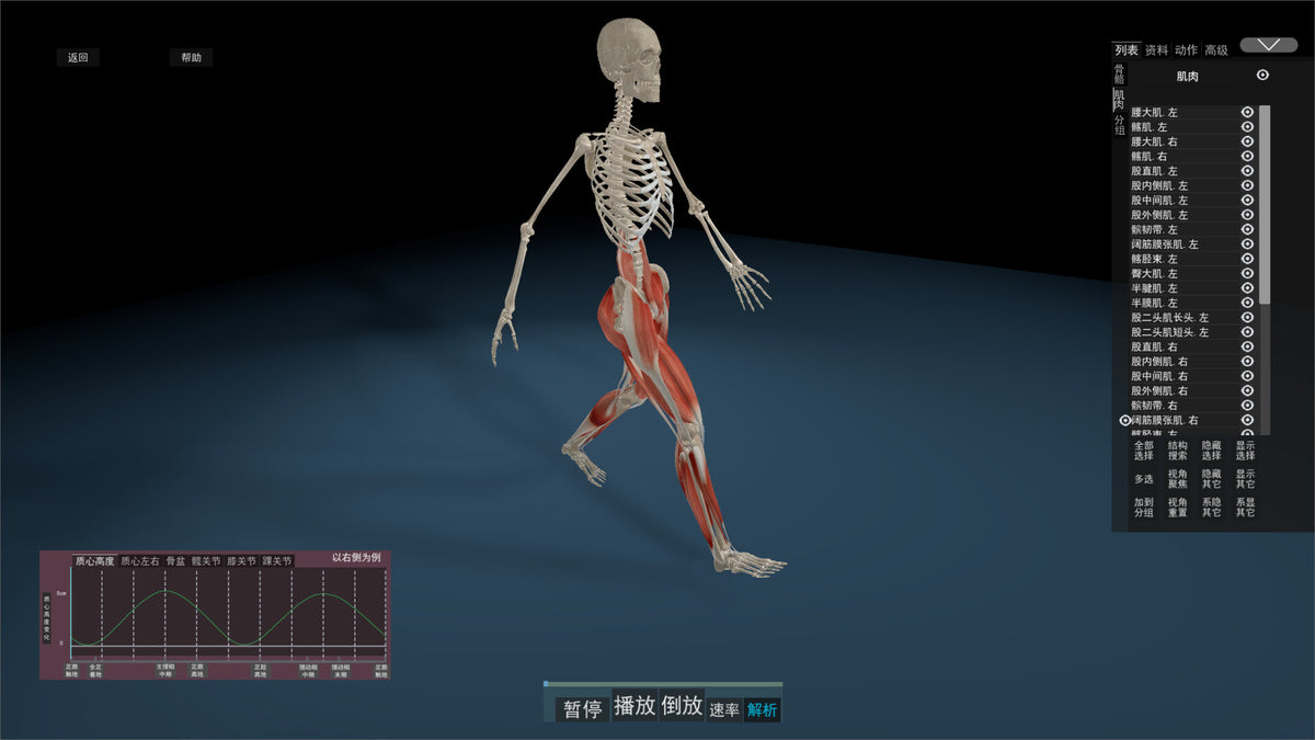Kinetic Anatomy 3D PC Steam CD Key  REGION FREE LinxTech - [Email/Instant Delivery]