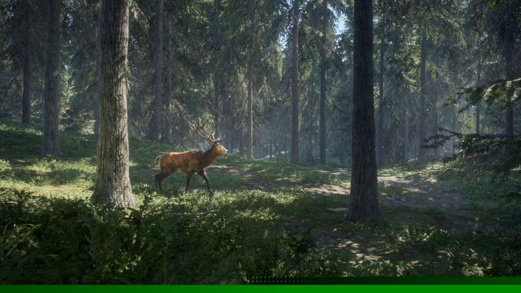 theHunter: Call of the Wild Ultimate Hunting Bundle PC Steam CD Key  REGION FREE Expansive Worlds - [Email/Instant Delivery]