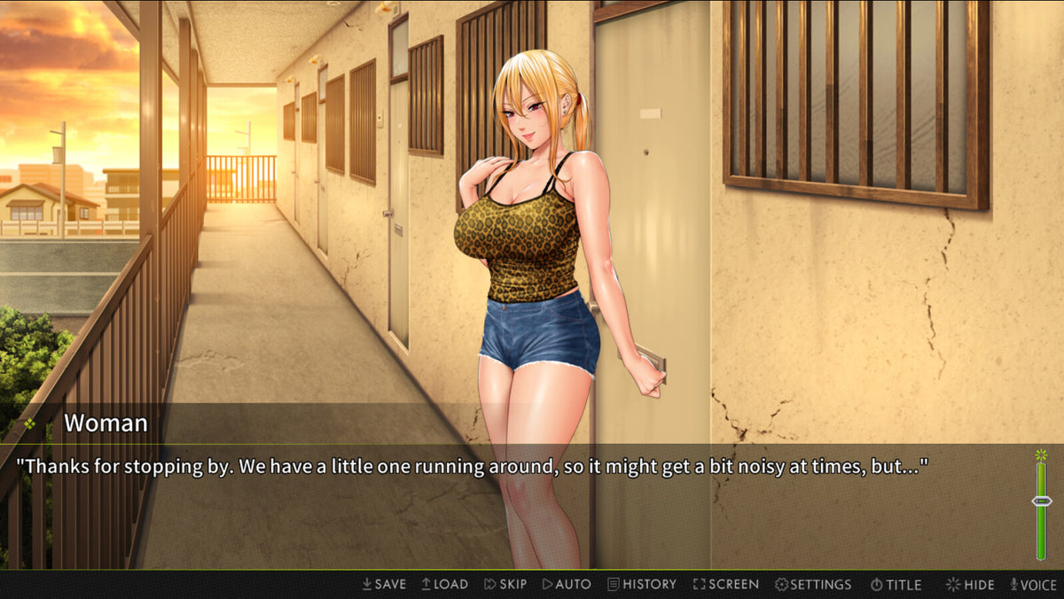 Saving Mrs. Hinako PC Steam CD Key   REGION FREE Shiravune - [Email/Instant Delivery]