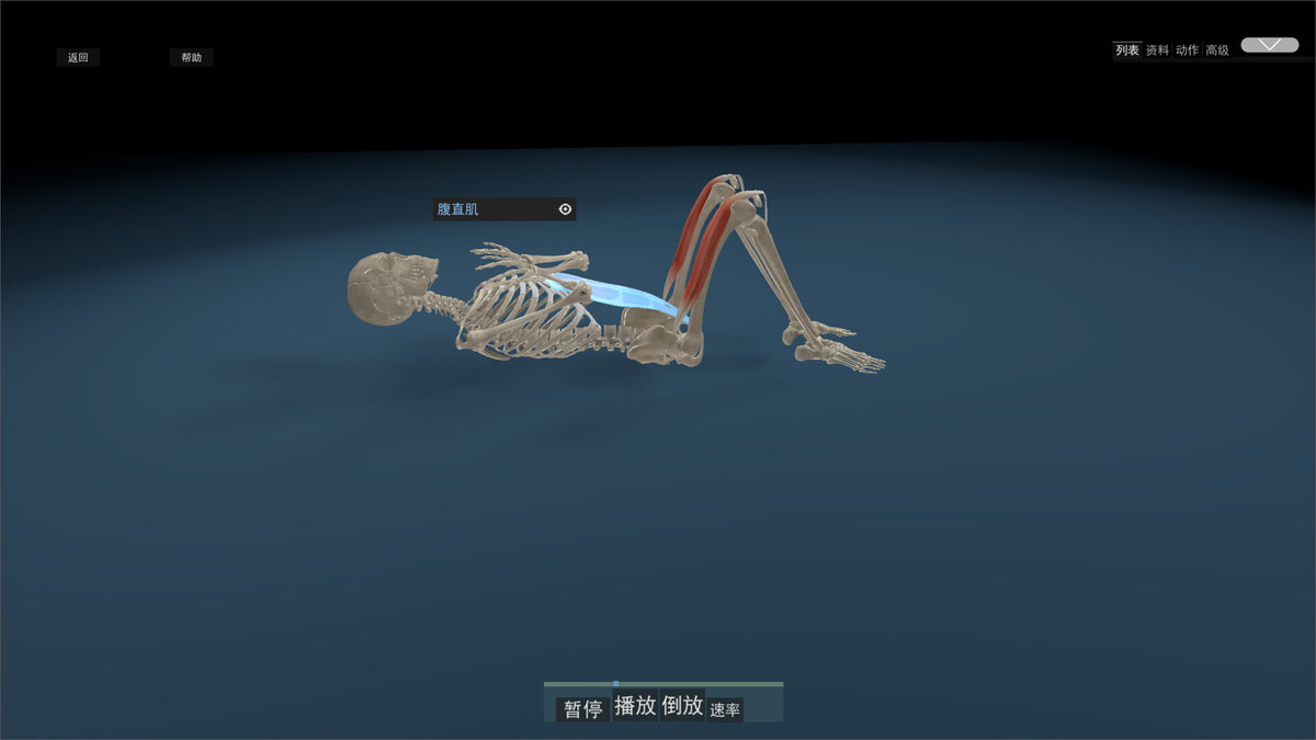 Kinetic Anatomy 3D PC Steam CD Key  REGION FREE LinxTech - [Email/Instant Delivery]