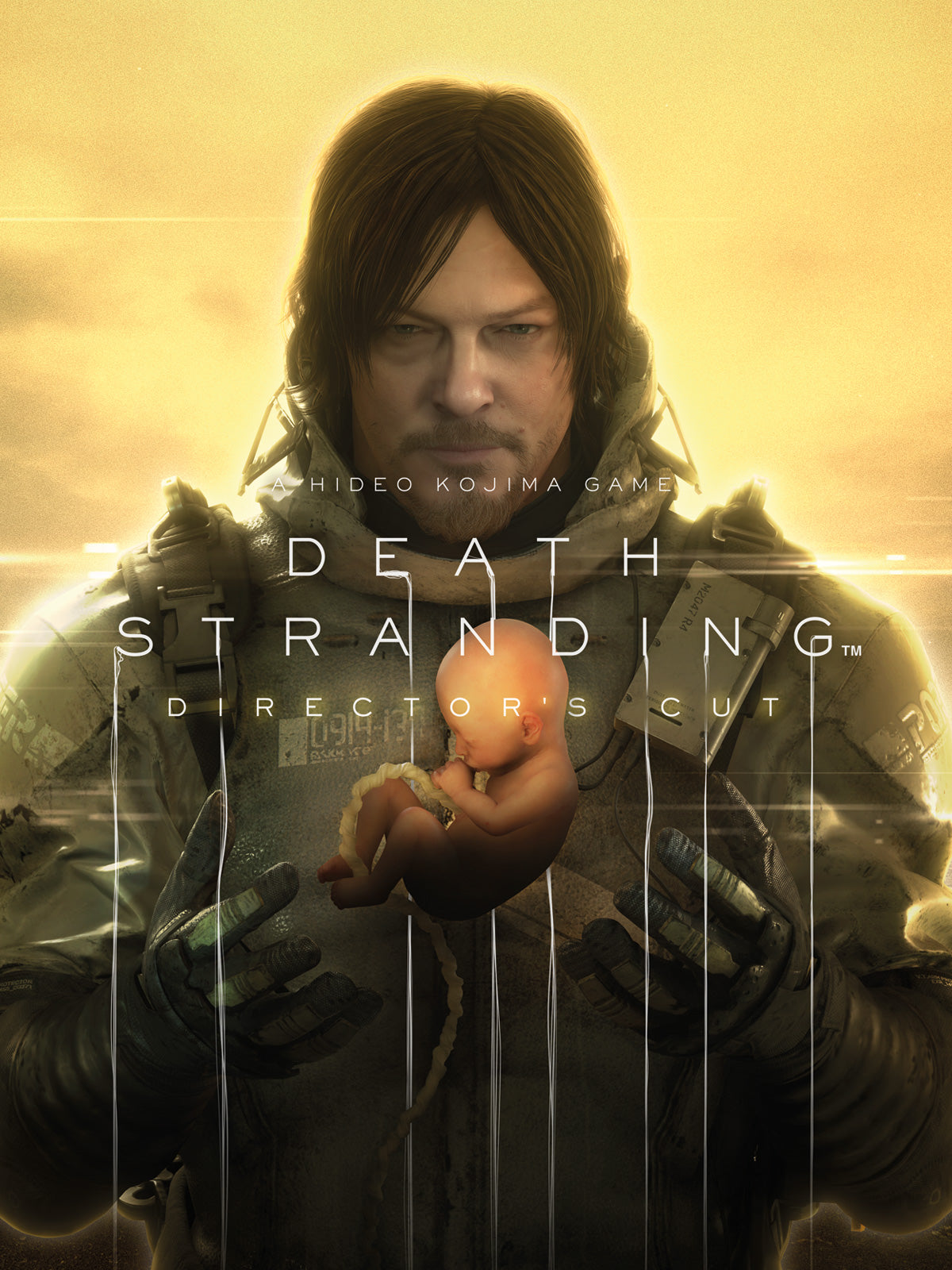 Death Stranding Director's Cut Steam Global   - Steam [Email/Instant Delivery]