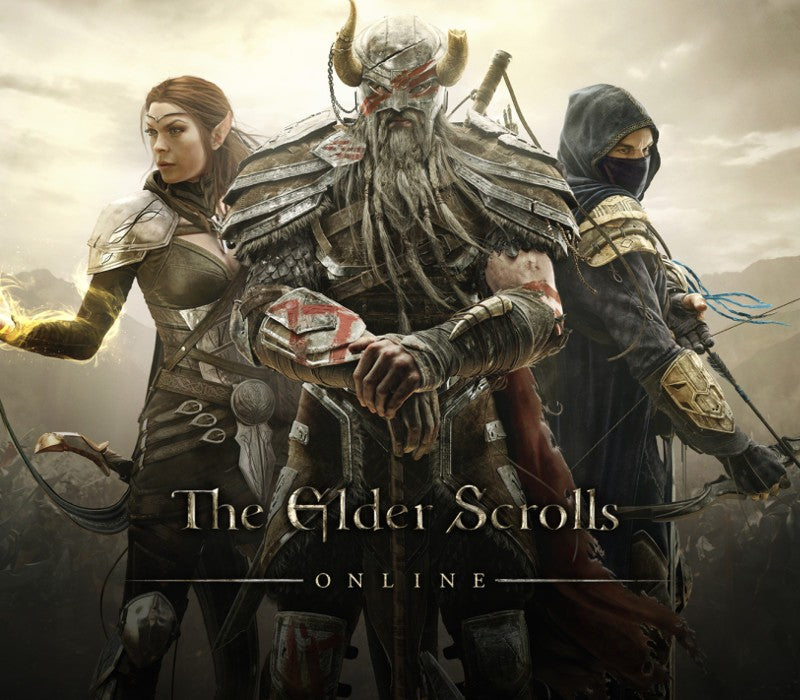 The Elder Scrolls Online - Morthal Jarl Finery Costume DLC PC Digital Download CD Key Official website -  REGION FREE Bethesda Softworks - [Email/Instant Delivery]