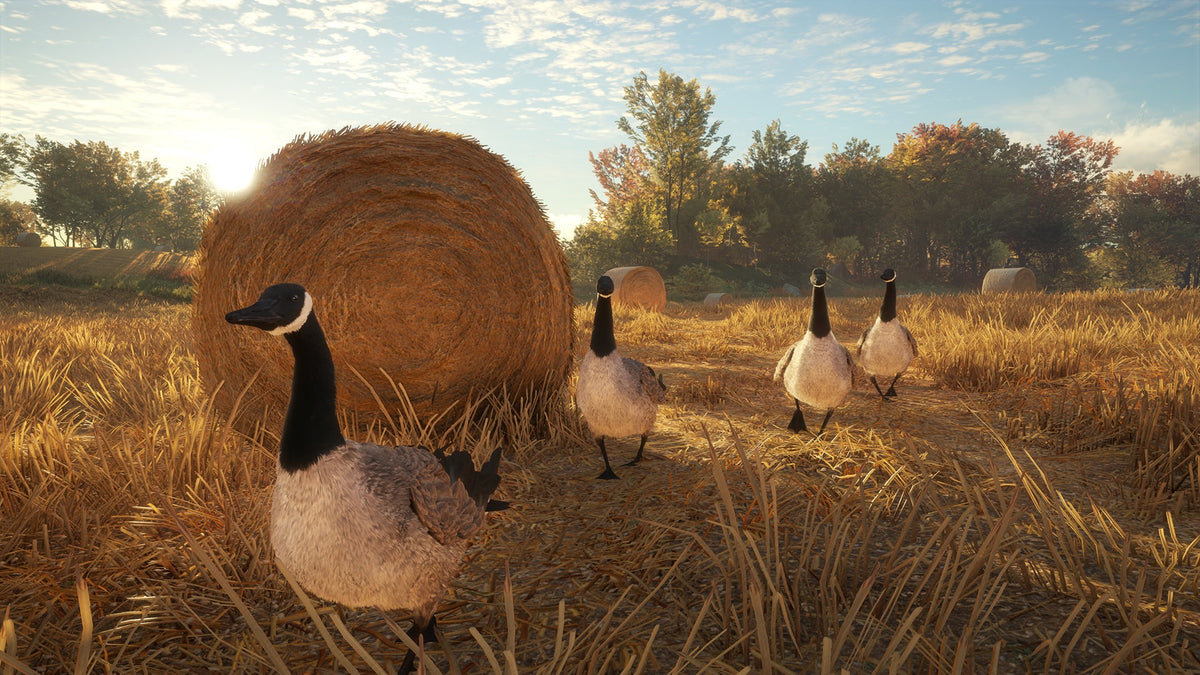theHunter: Call of the Wild - Hunting Starter Pack Bundle PC Steam CD Key  REGION FREE  [Email/Instant Delivery]