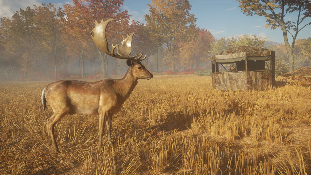 theHunter: Call of the Wild - Hunting Starter Pack Bundle PC Epic Games Account  REGION FREE Avalanche Studios - [Email/Instant Delivery]